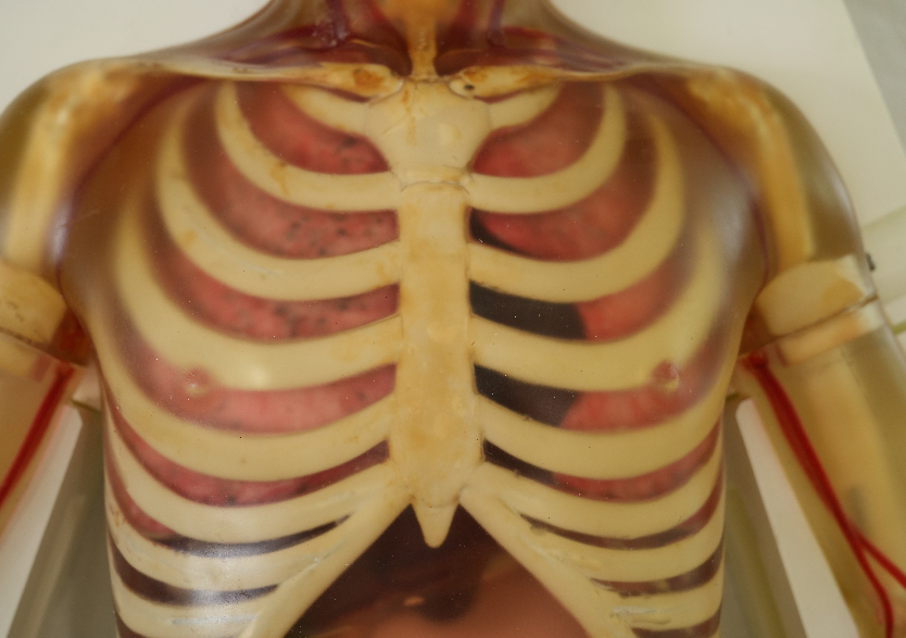 综合超声检查平台3.0